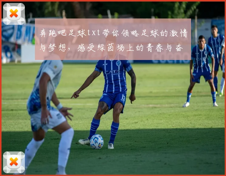 奔跑吧足球txt带你领略足球的激情与梦想，感受绿茵场上的青春与奋斗