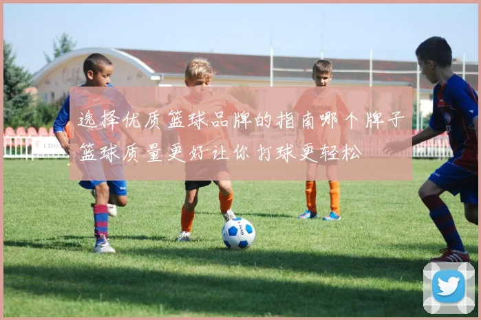选择优质篮球品牌的指南哪个牌子篮球质量更好让你打球更轻松