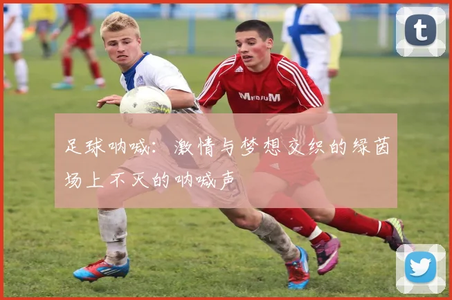 足球呐喊：激情与梦想交织的绿茵场上不灭的呐喊声