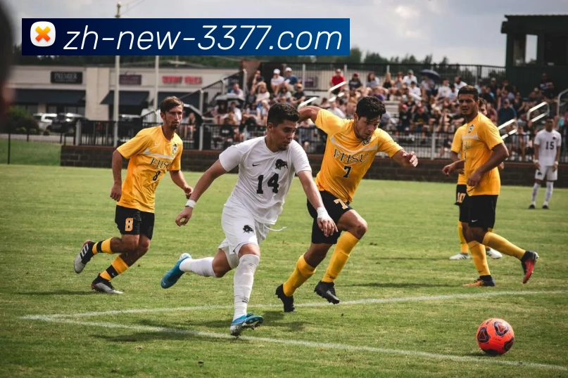 3377体育高清直播服务体系